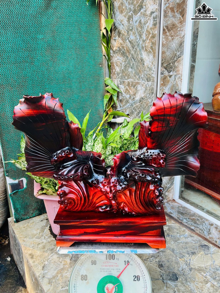 tuong-ca-xiem-go-trac-cao-50-ngang-56-sau-25-cm-470838