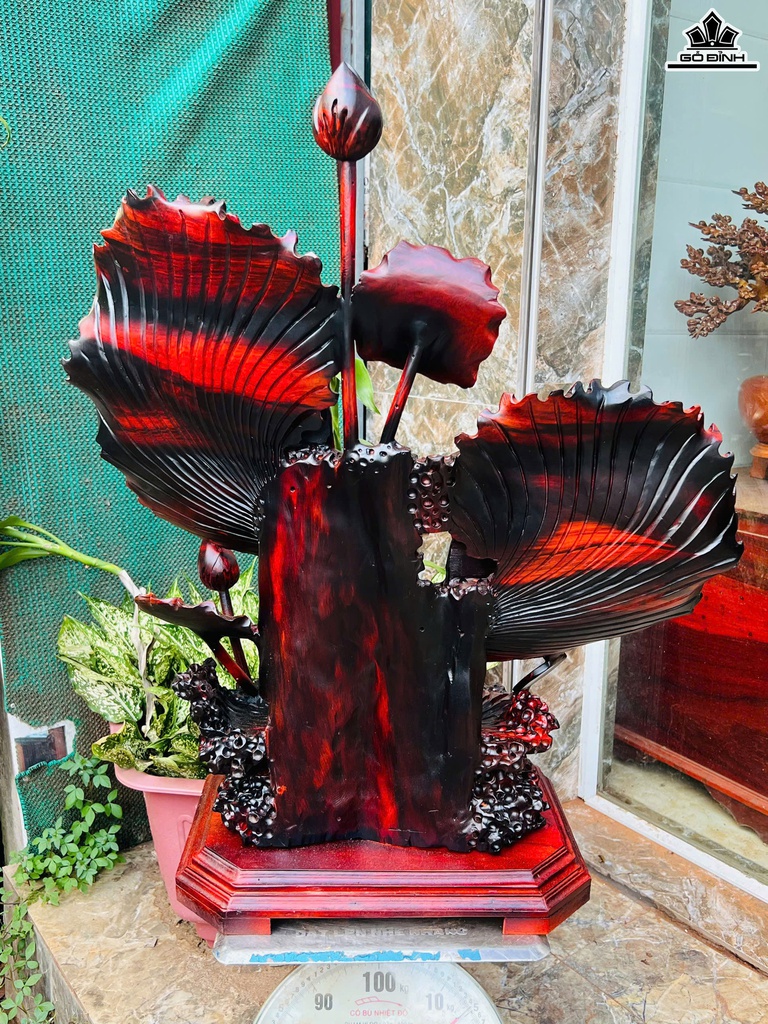 tuong-ca-xiem-go-trac-cao-81-ngang-66-sau-28-cm-470846