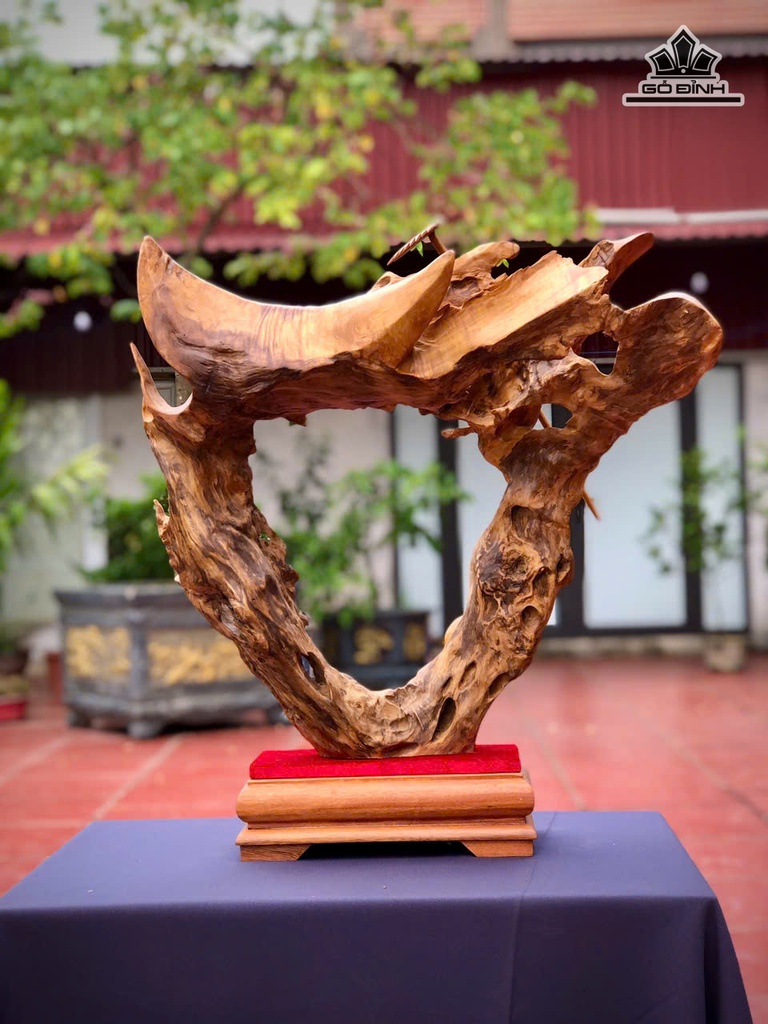 ngai-tru-bat-gioi-go-nu-sun-lua-doi-cao-62-ngang-55-sau-21-cm-471299