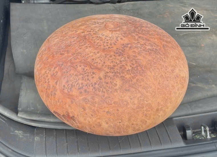 chum-phu-quy-go-nu-huong-cao-25-duong-kinh-36-cm-471351