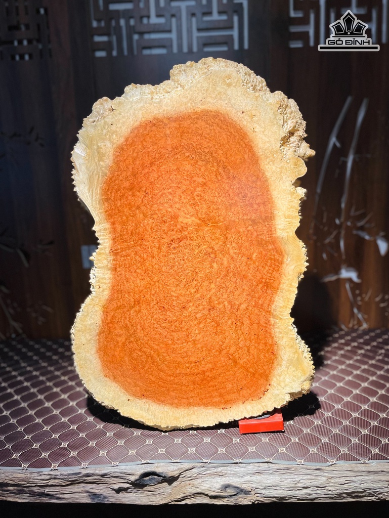 phach-go-nu-huong-ngang-43-cao-66-day-25-cm-471383