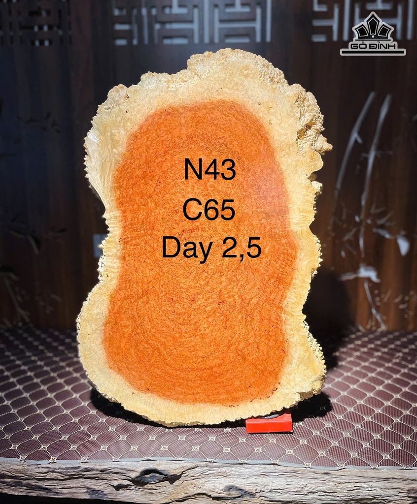 phach-go-nu-huong-ngang-43-cao-66-day-25-cm-471384