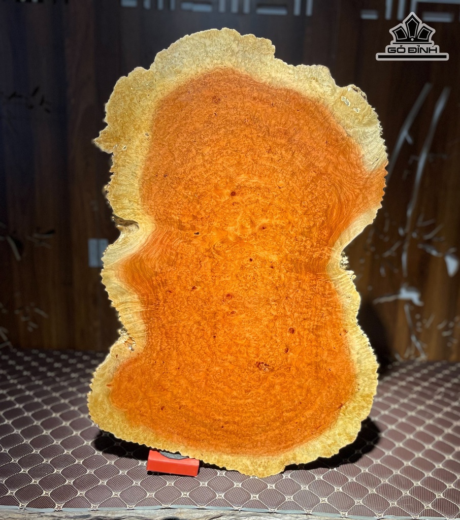 phach-go-nu-huong-ngang-43-cao-66-day-25-cm-471385