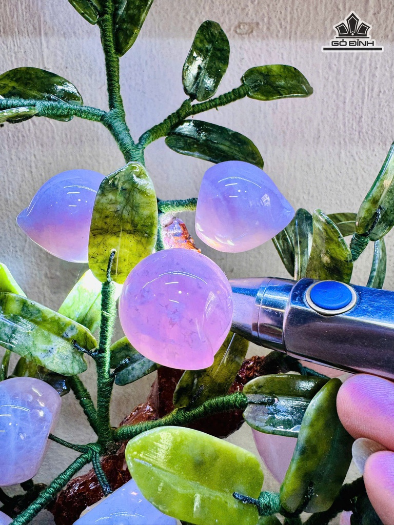 cay-dao-thach-anh-hong-cao-56-ngang-40-cm-62kg-38-qua-471640