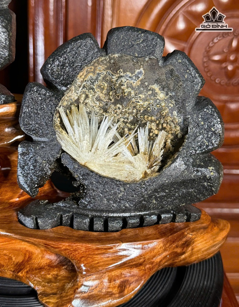 cap-hoc-hoa-da-aragonite-cao-205-ngang-24-cm-16kg-471668