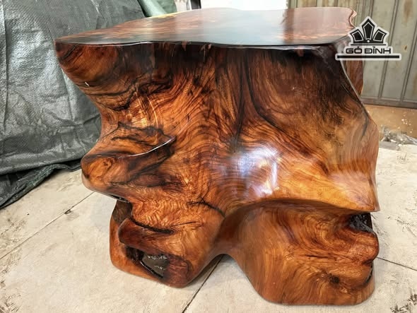 don-go-go-go-do-ca-te-cao-38-mat-49-36-cm-dc1264-472109