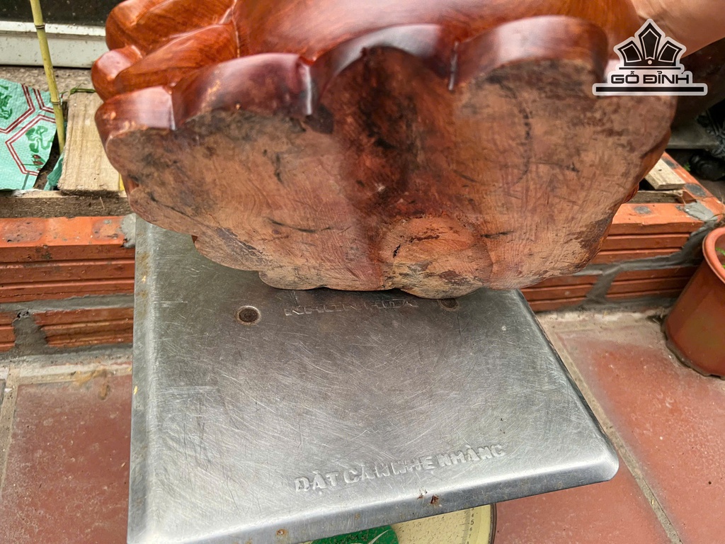 tuong-tam-coc-ngam-tien-go-huong-cao-26-ngang-38-sau-32-cm-472716