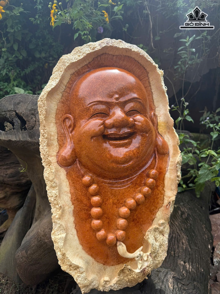 dien-di-lac-go-nu-huong-cao-65-ngang-36-sau-10-cm-472756