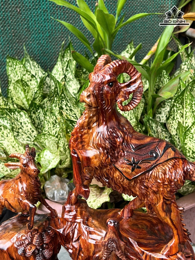 tuong-tam-duong-khai-thai-go-sua-cao-43-ngang-37-sau-22-cm-472815