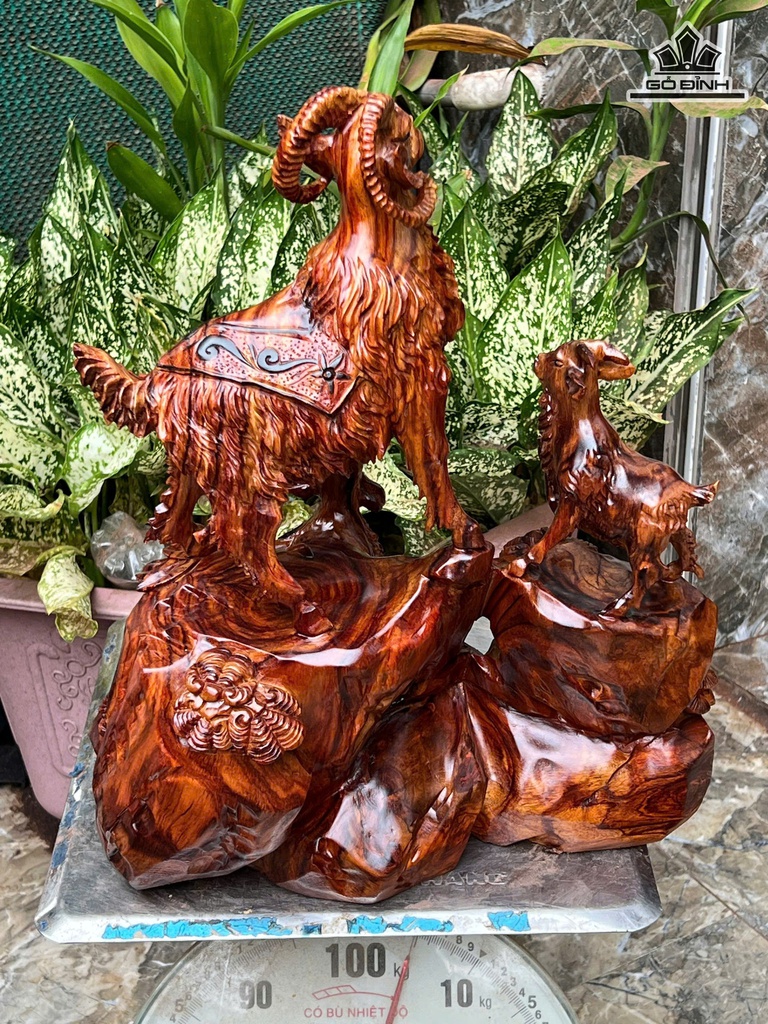 tuong-tam-duong-khai-thai-go-sua-cao-43-ngang-37-sau-22-cm-472816