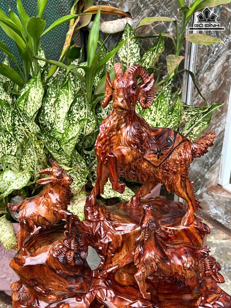 tuong-tam-duong-khai-thai-go-sua-cao-43-ngang-37-sau-22-cm-472817