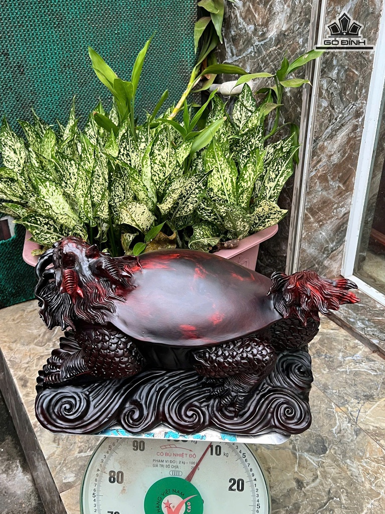 tuong-long-quy-go-trac-cao-22-ngang-43-sau-23-cm-472829