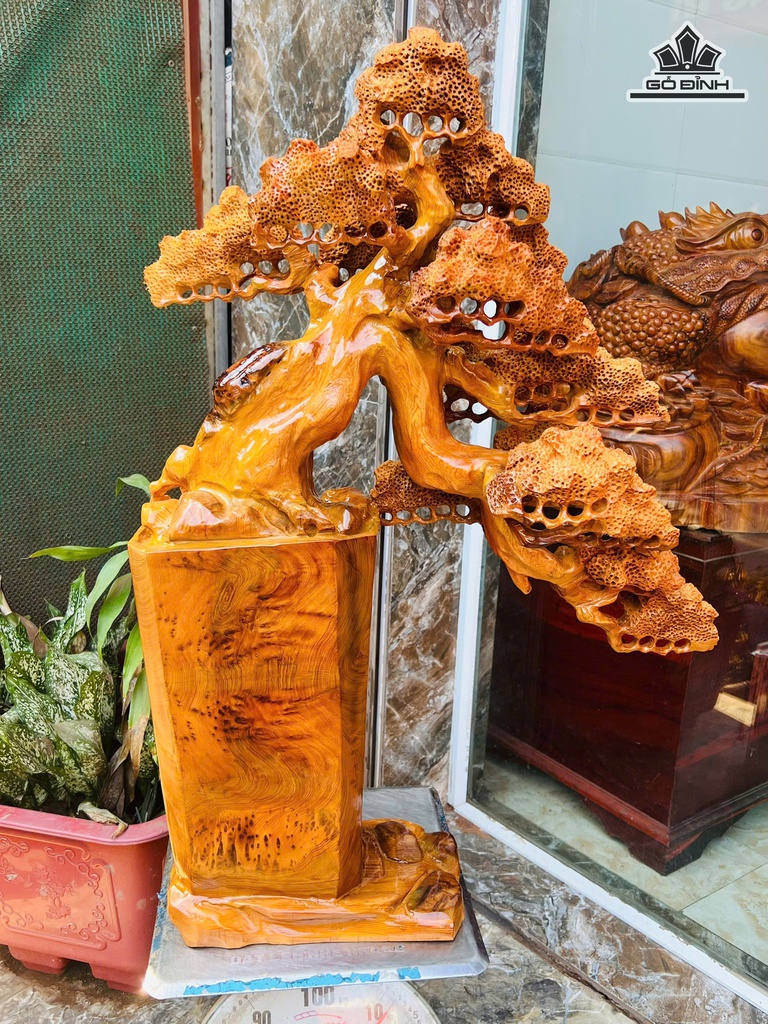 chau-binh-tung-bonsai-go-nu-ngoc-am-cao-87-ngang-60-sau-23-cm-472867