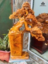 chau-binh-tung-bonsai-go-nu-ngoc-am-cao-87-ngang-60-sau-23-cm-472867