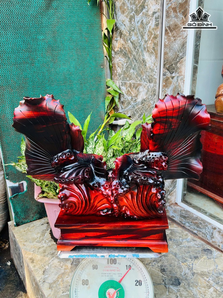 tuong-ca-xiem-go-trac-cao-50-ngang-56-sau-25-cm-472878