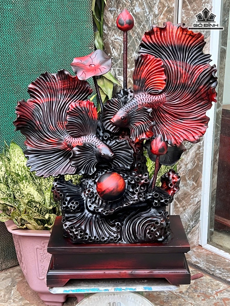 tuong-ca-xiem-go-trac-cao-57-ngang-52-sau-23-cm-472881