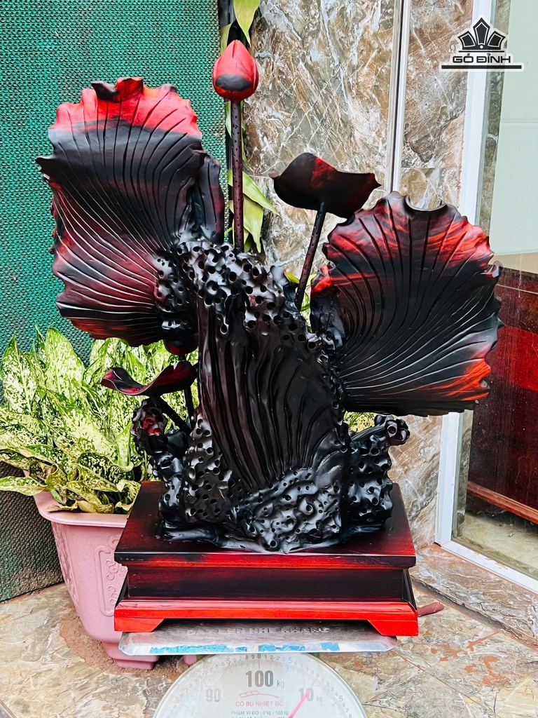 tuong-ca-xiem-go-trac-cao-57-ngang-52-sau-23-cm-472884