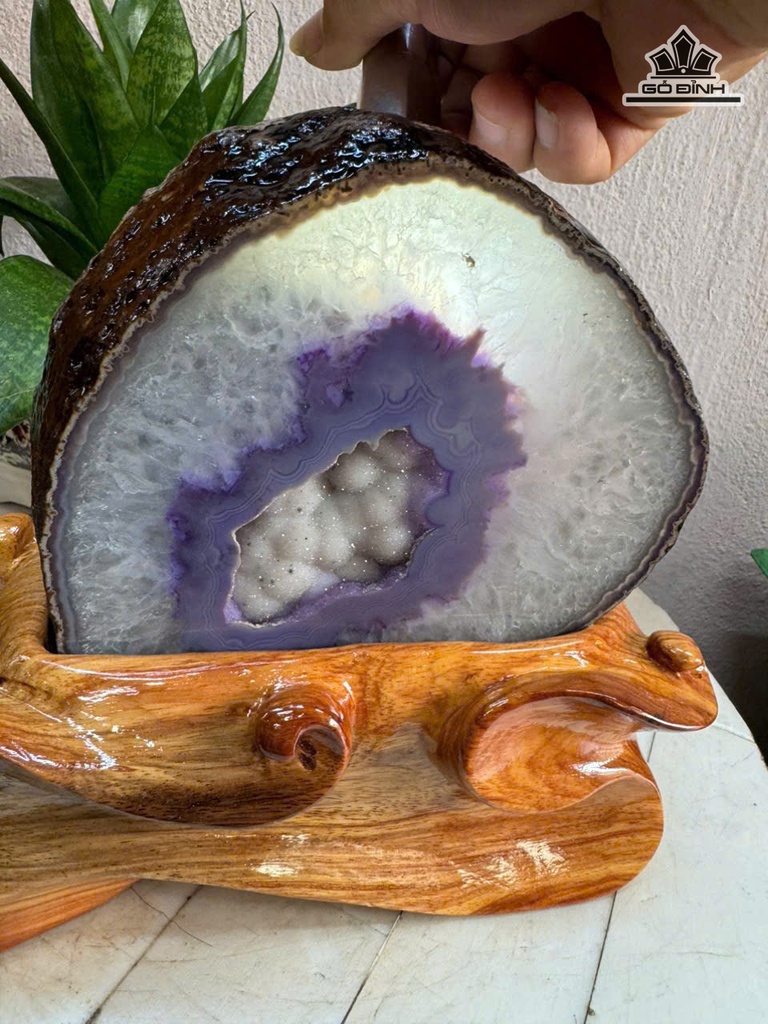 tac-pham-da-ma-nao-tim-cao-20-ngang-17-cm-28kg-luon-de-473142