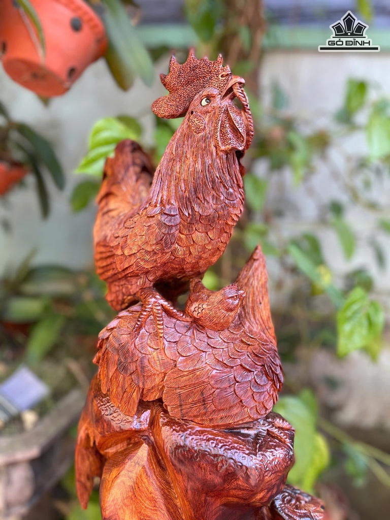 tuong-gia-dinh-ga-go-cam-cao-68-ngang-43-sau-25-cm-473214