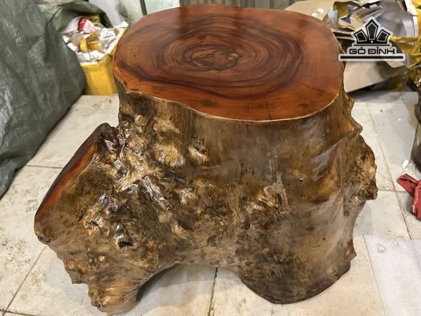 don-go-go-nu-xa-xi-cao-41-ngang-62-sau-46-mat-39-34-dx1801-473910