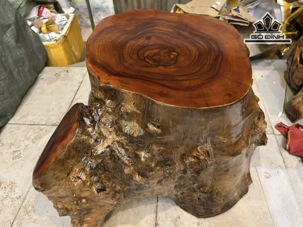 don-go-go-nu-xa-xi-cao-41-ngang-62-sau-46-mat-39-34-dx1801-473911