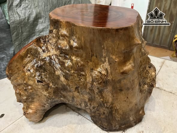 don-go-go-nu-xa-xi-cao-41-ngang-62-sau-46-mat-39-34-dx1801-473913