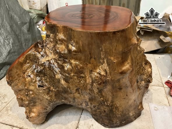 don-go-go-nu-xa-xi-cao-41-ngang-62-sau-46-mat-39-34-dx1801-473915