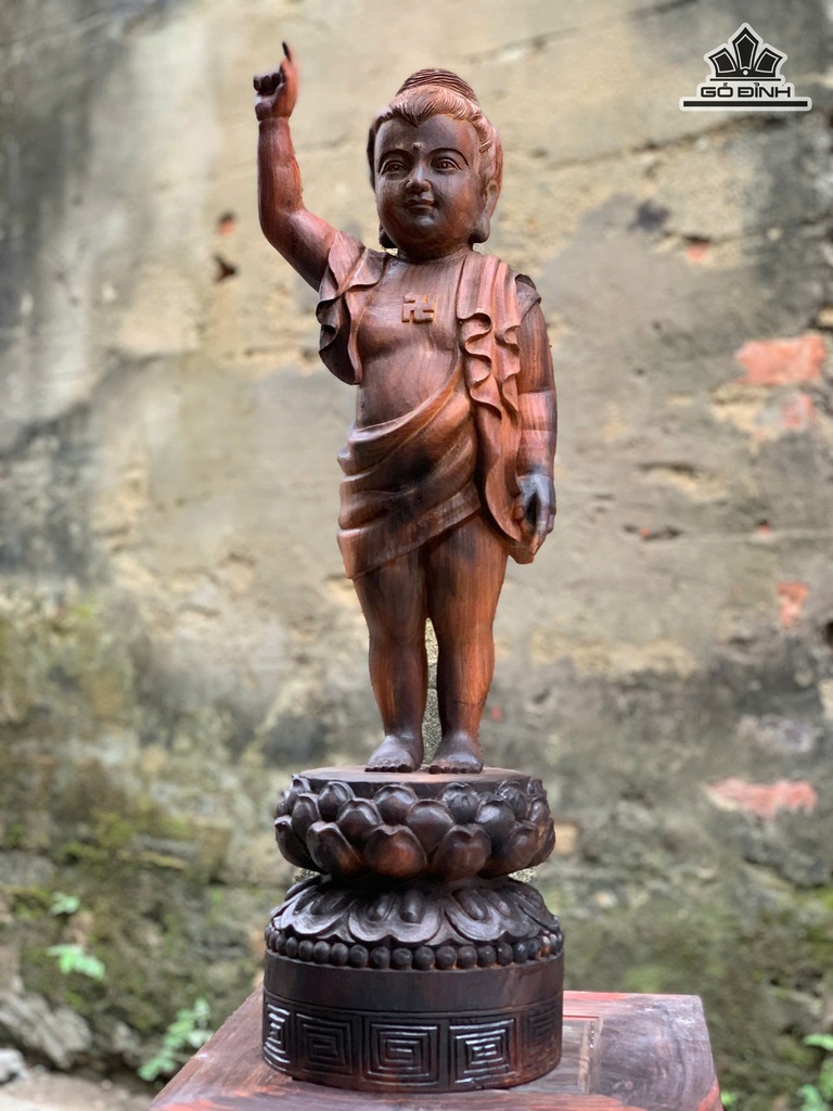 phat-dan-sinh-go-trac-cao-60-ngang-17-sau-15-cm-474599