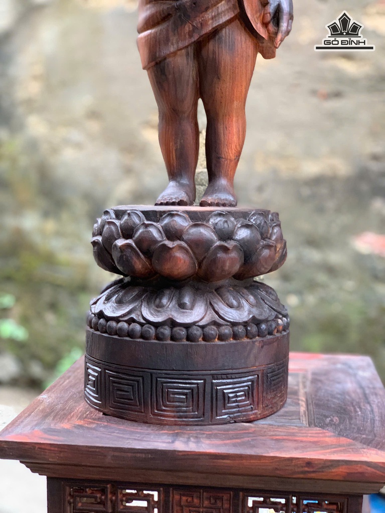 phat-dan-sinh-go-trac-cao-60-ngang-17-sau-15-cm-474600