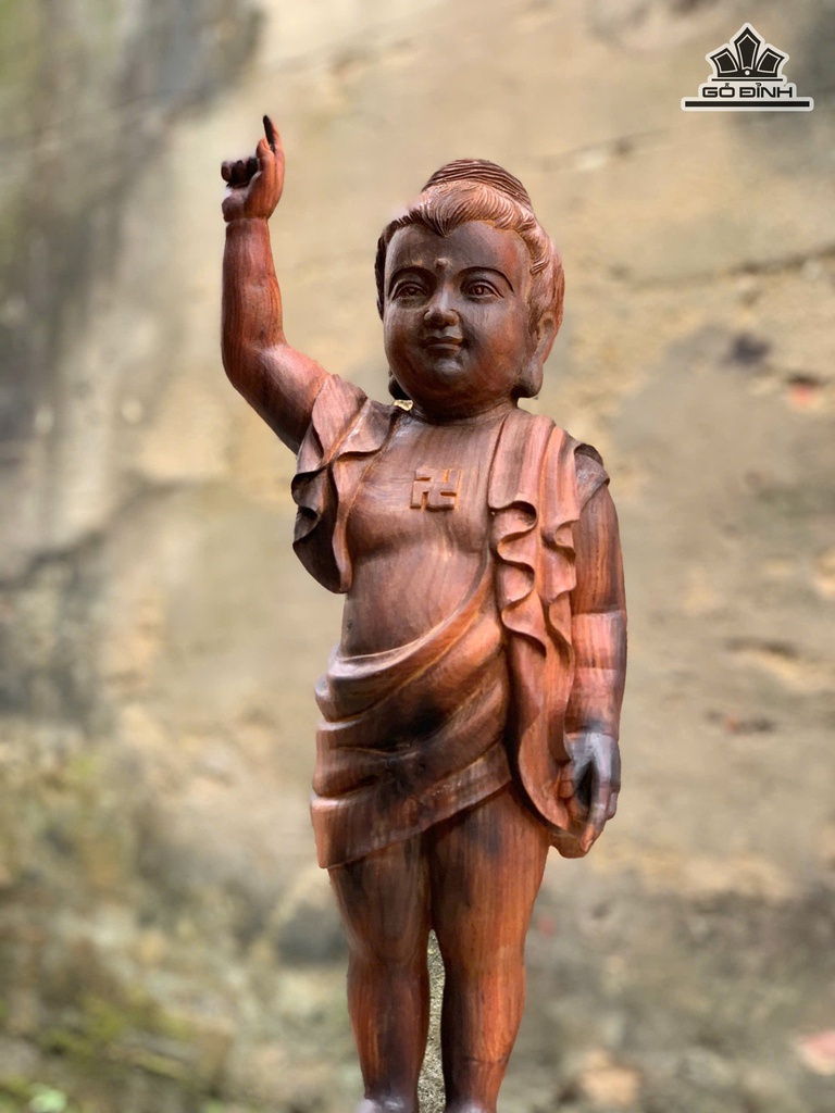 phat-dan-sinh-go-trac-cao-60-ngang-17-sau-15-cm-474601