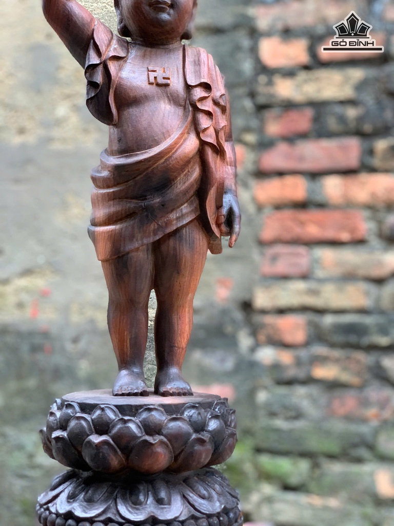 phat-dan-sinh-go-trac-cao-60-ngang-17-sau-15-cm-474602