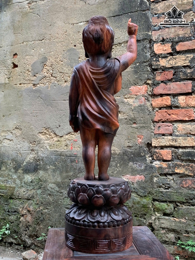 phat-dan-sinh-go-trac-cao-60-ngang-17-sau-15-cm-474603