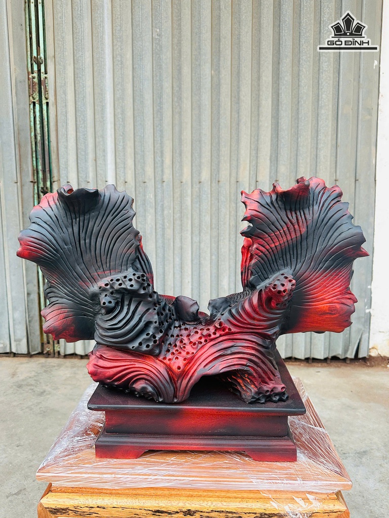 tuong-ca-xiem-go-trac-cao-47-ngang-57-sau-25-cm-474674