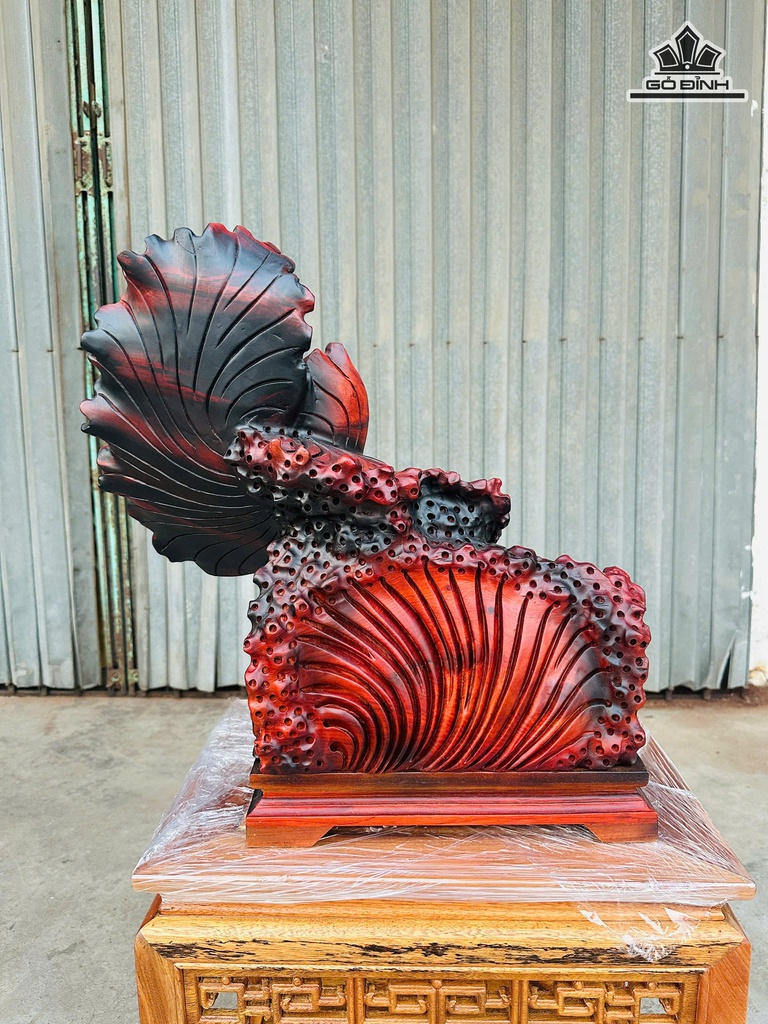 tuong-ca-xiem-go-trac-cao-52-ngang-48-sau-30-cm-474676