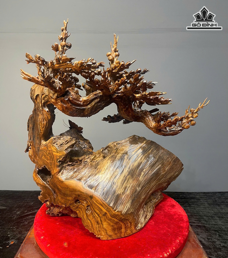 binh-hoa-mai-go-bach-xanh-cao-61-ngang-60-sau-30-cm-474734