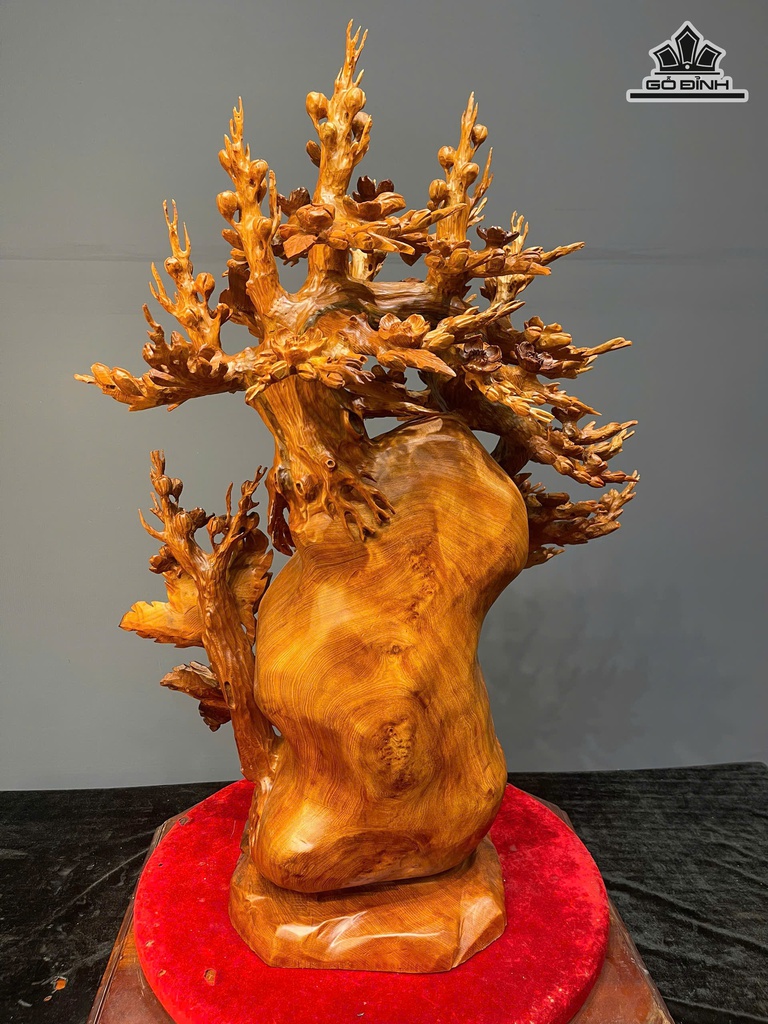 cay-hoa-mai-go-nu-ngoc-am-cao-79-ngang-58-sau-26-cm-474757