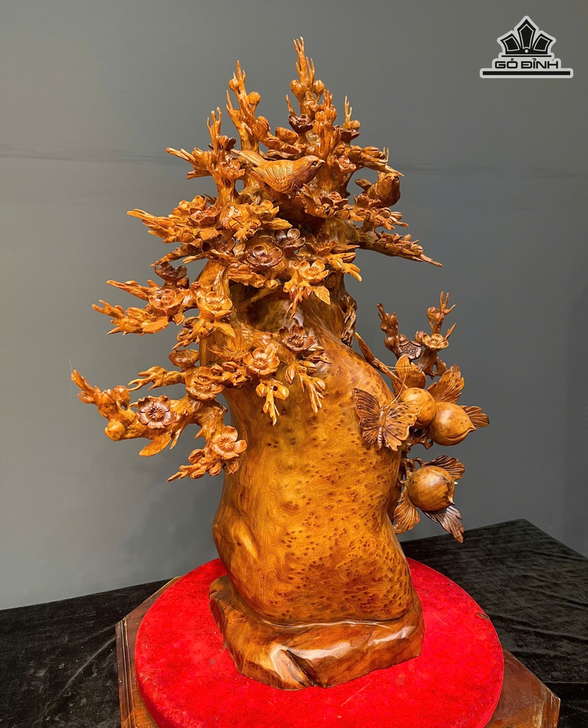 cay-hoa-mai-go-nu-ngoc-am-cao-79-ngang-58-sau-26-cm-474758