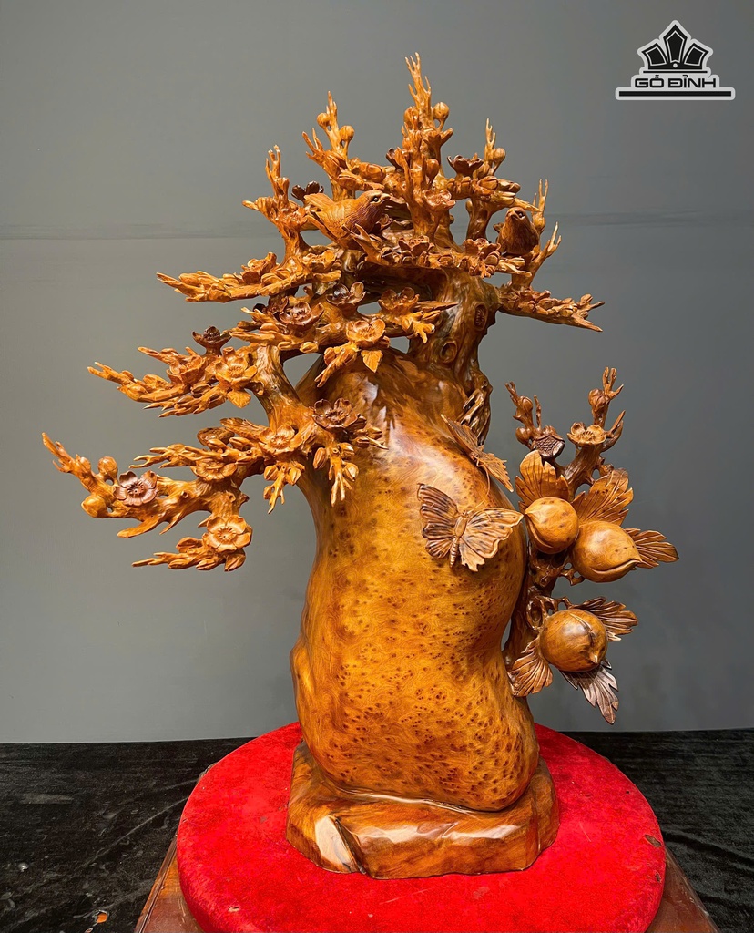 cay-hoa-mai-go-nu-ngoc-am-cao-79-ngang-58-sau-26-cm-474759