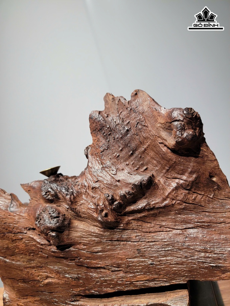 tuong-dat-ma-su-to-go-nu-trac-cao-21-ngang-38-sau-16-cm-474892