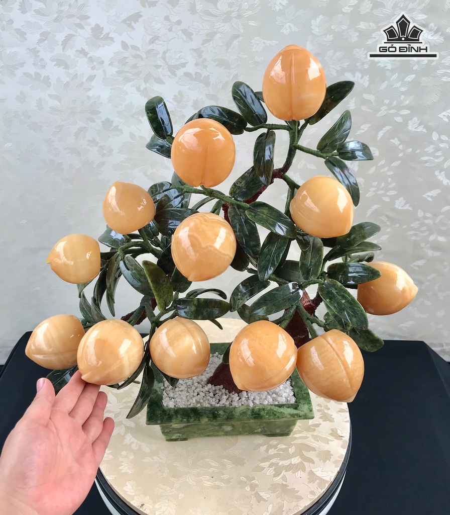 cay-dao-hoang-kim-12-qua-hoang-ngoc-pakistan-onyx-82kg-cao-47-ngang-47-sau-12-cm-474933