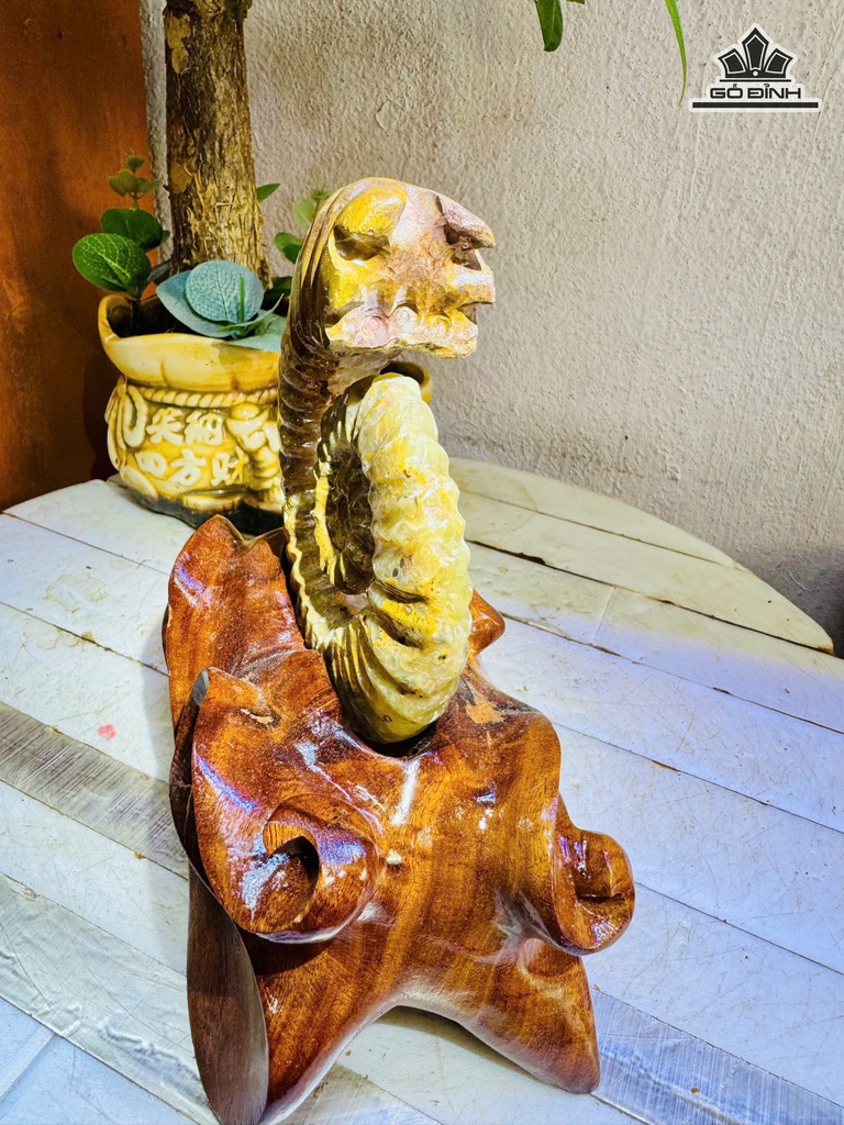 oc-anh-vu-hoa-ngoc-cao-18-ngang-11-cm-11kg-475001