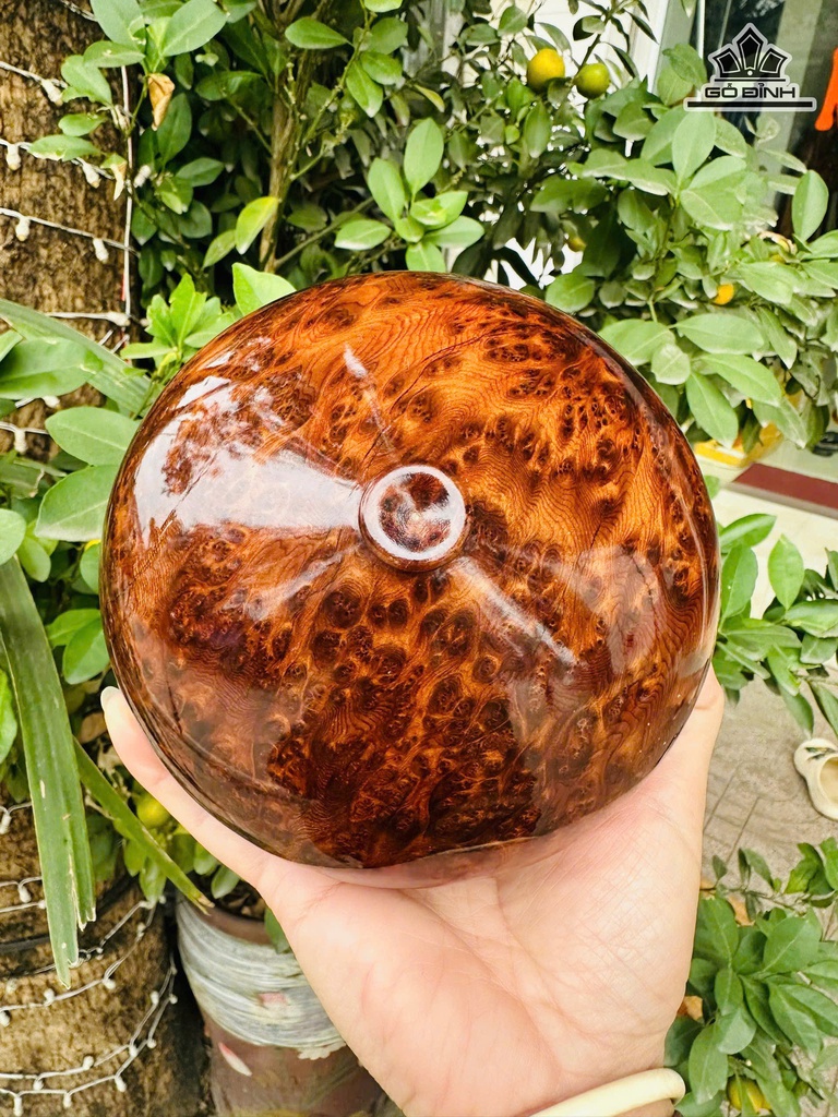 chum-phu-quy-go-nu-ngoc-am-cao-8-duong-kinh-15-cm-475652