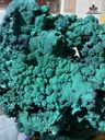 tac-pham-da-malachite-cao-37-ngang-25-cm-8kg-475760