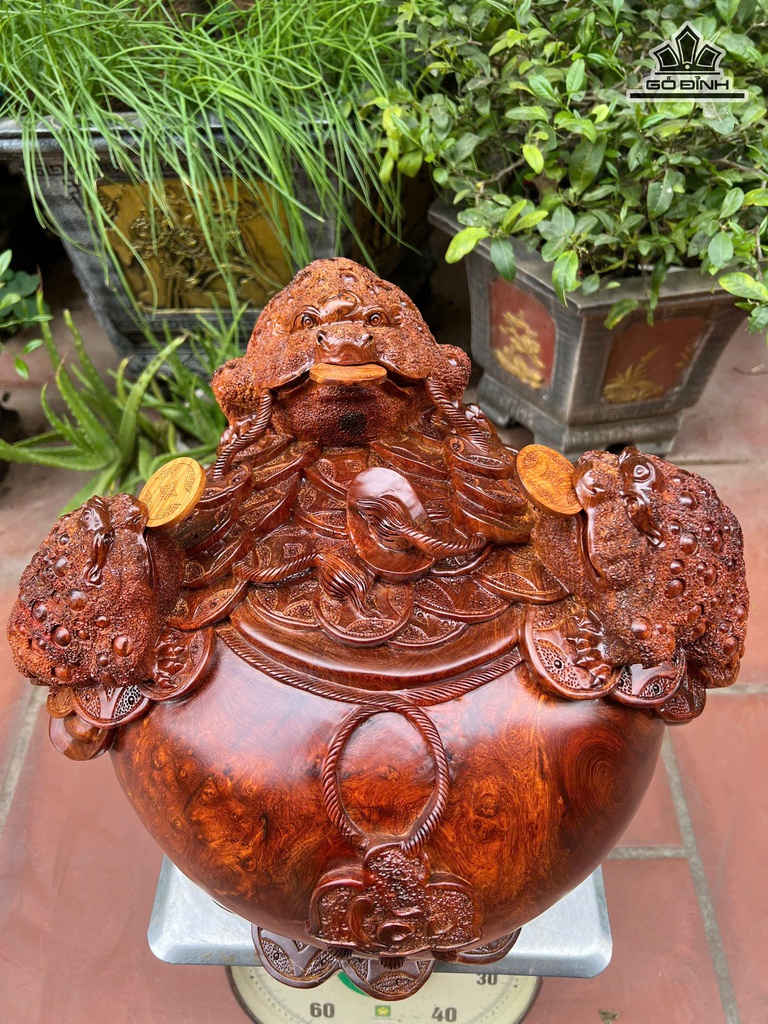 tuong-tam-coc-ngam-tien-go-huong-cao-38-ngang-42-sau-40-cm-475902