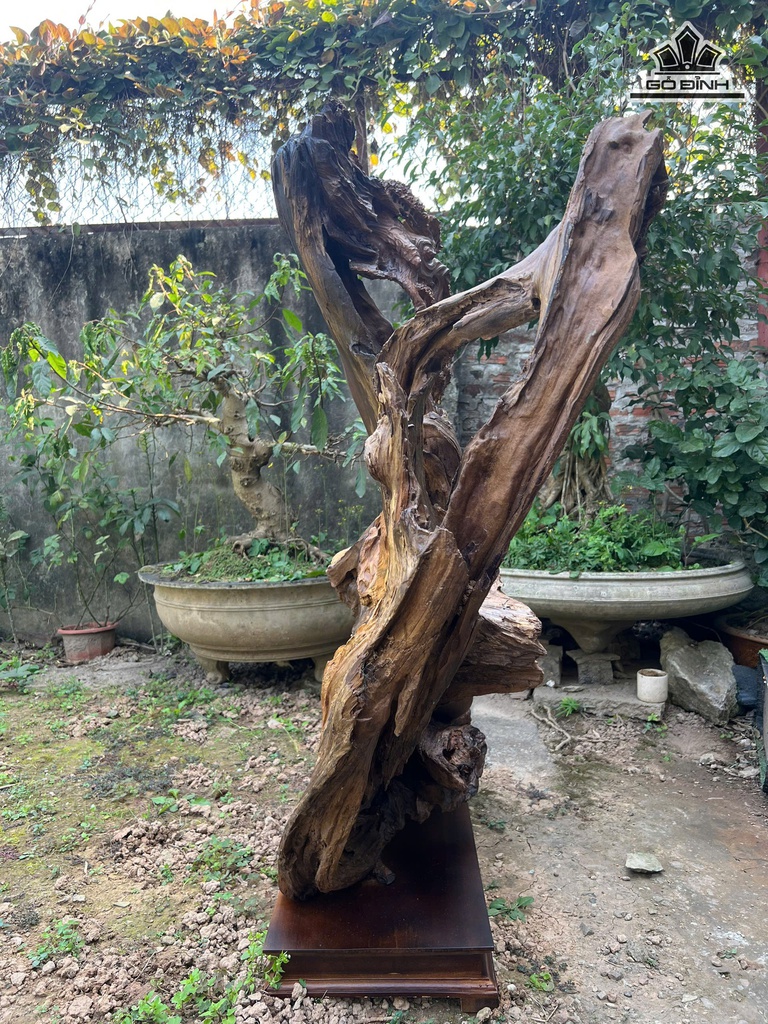 tuong-dat-ma-su-to-go-bach-xanh-cao-111-ngang-79-sau-29-cm-475967