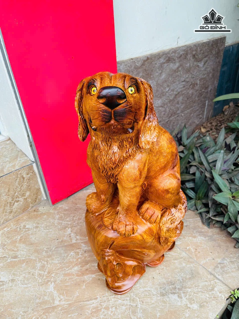 tuong-cho-go-huong-cao-50-ngang-23-sau-16-cm-10kg-476853