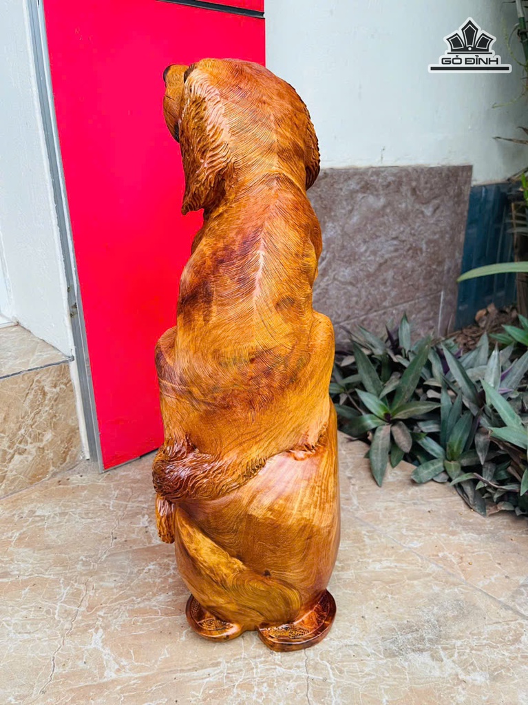 tuong-cho-go-huong-cao-50-ngang-23-sau-16-cm-10kg-476855