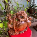 tuong-rong-nhat-long-go-nu-ngoc-am-cao-36-ngang-45-sau-16-cm-476987