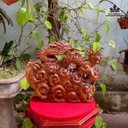 tuong-rong-nhat-long-go-nu-ngoc-am-cao-36-ngang-45-sau-16-cm-476988