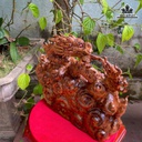 tuong-rong-nhat-long-go-nu-ngoc-am-cao-36-ngang-45-sau-16-cm-476990